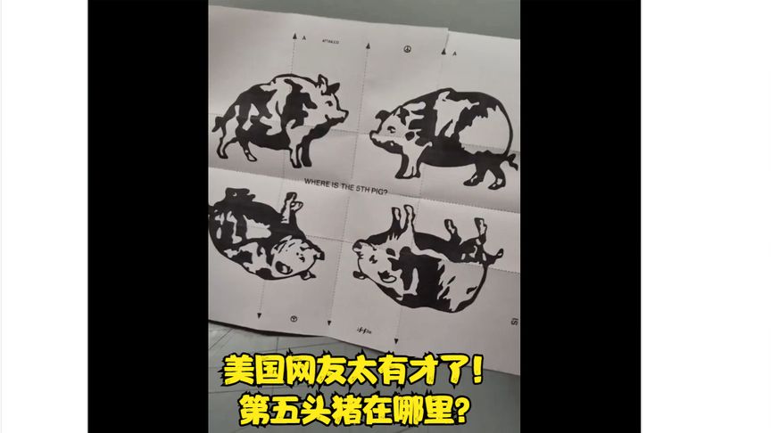 美国网友太有才了！第五头猪在哪里？