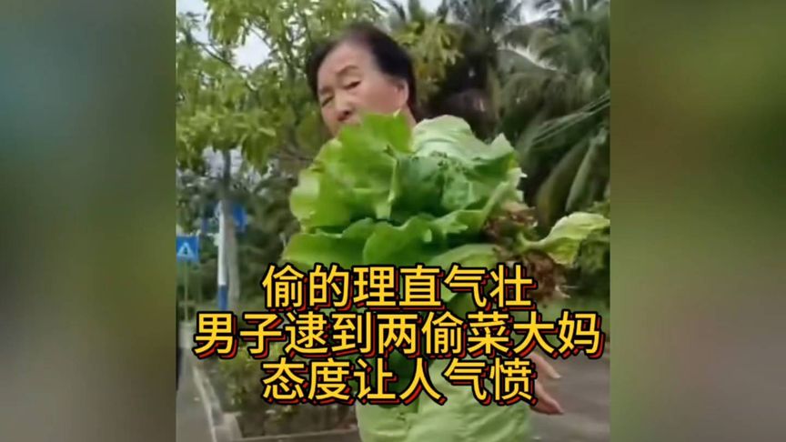 偷的理直气壮：男子逮到两偷菜大妈，态度让人气愤