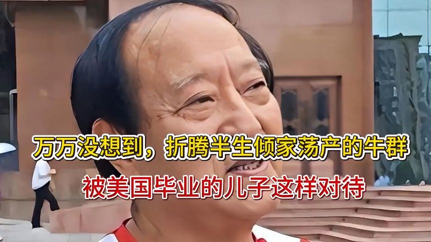 万万没想到，折腾半生倾家荡产的牛群，被美国毕业的儿子这样对待
