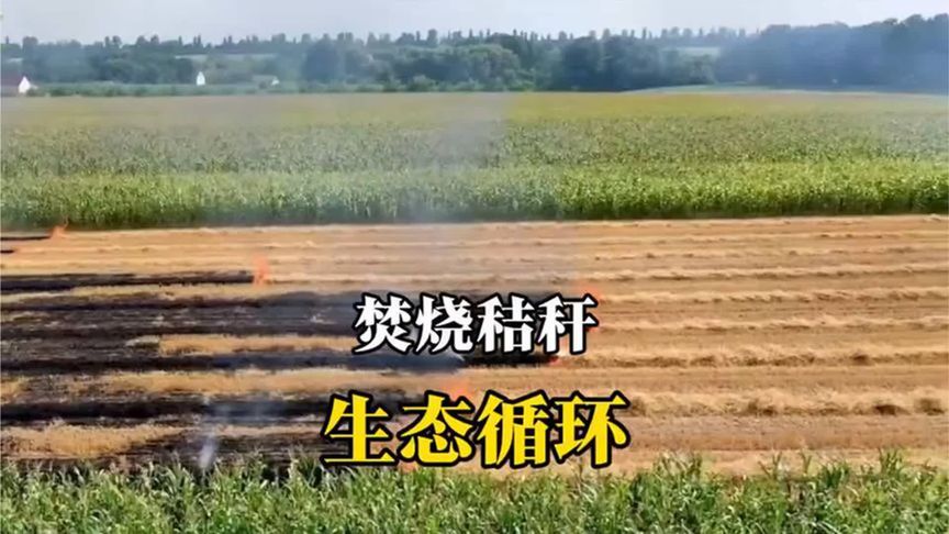 关于焚烧秸秆，最近北京师范大学做了一项研究，来看看