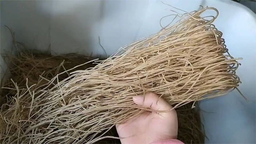 家里有粉条的注意，用水泡一泡，出现这种情况立马扔掉，涨知识