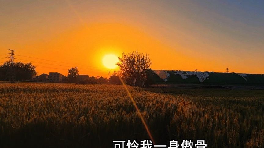 我形容不出来我现在有多难受，我只知道我好累