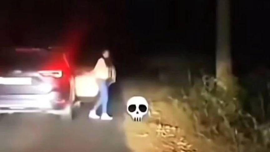 女子深夜下车遇猛虎，情急之下拽了老虎命根子，躲过一劫。