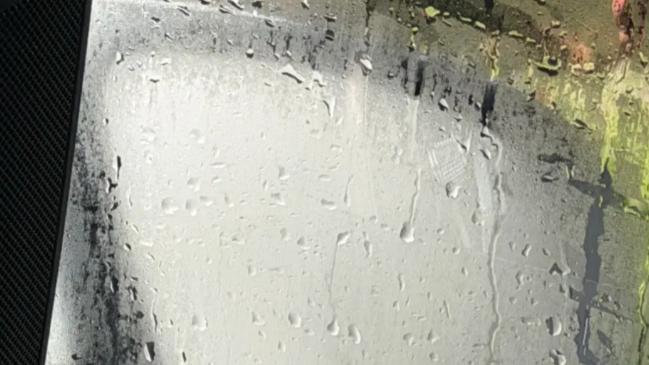 比亚马逊雨林更湿更热！专家：今年天气系统出现异常；好消息来了-图1