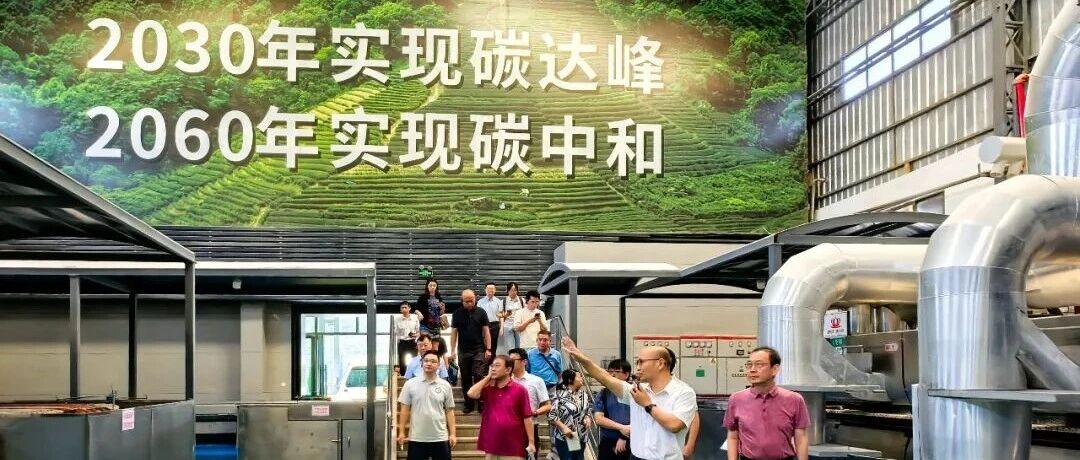 蒙娜丽莎集团氨氢零碳（低碳）燃烧技术方案通过认定，打造陶瓷工业产业化应用范本！