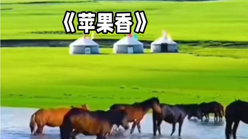 《苹果香》响起，满满的回忆，越听越有故事。