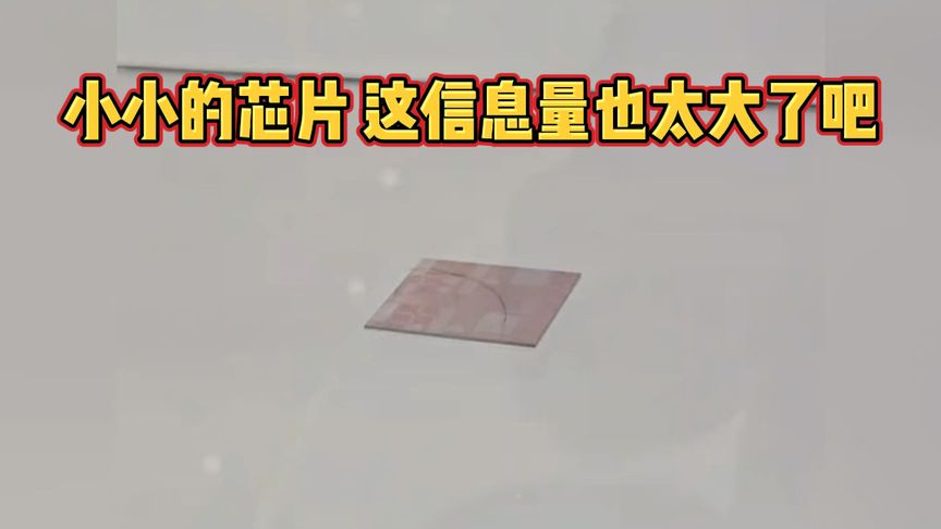 小小的芯片，这信息量也太大了吧！#科技改变生活 #芯片