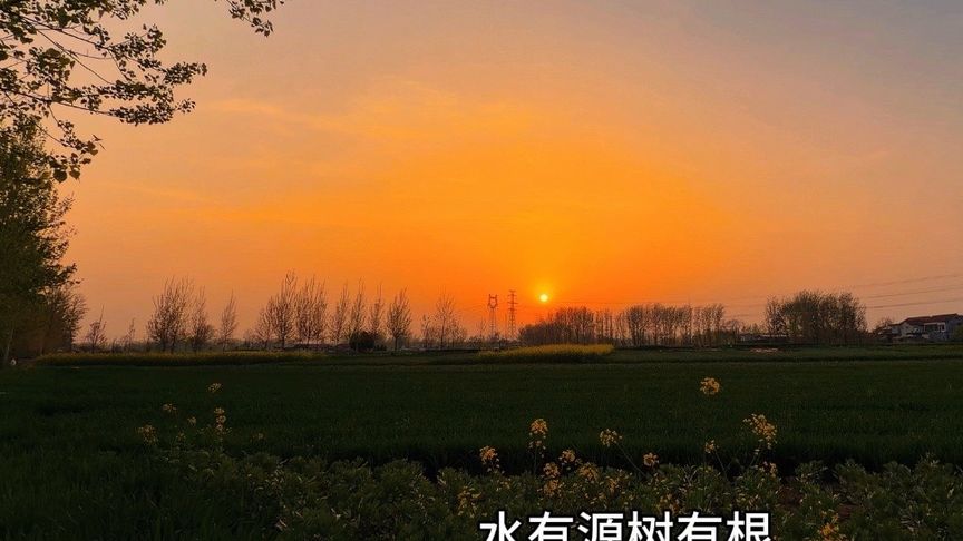 神你可以不信，佛你可以不拜，但不能不祭祖。祖宗是根，我们是果