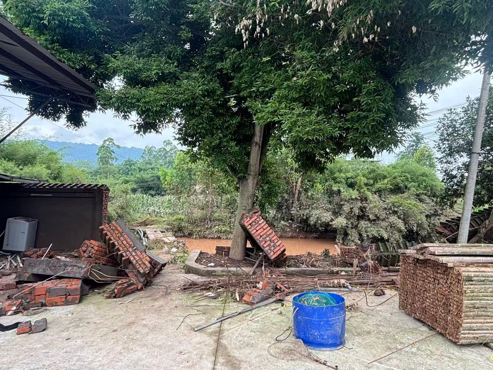 重庆暴雨细节:男子救丈母娘被洪水冲走,厂房老板带两条狗游泳逃生-图4
