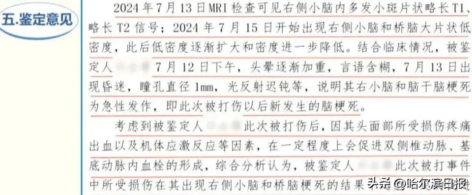 两人打架,一人被拖把杆打伤一个月后去世,北京市第二中级人民法院:打人者被判刑10年-图4