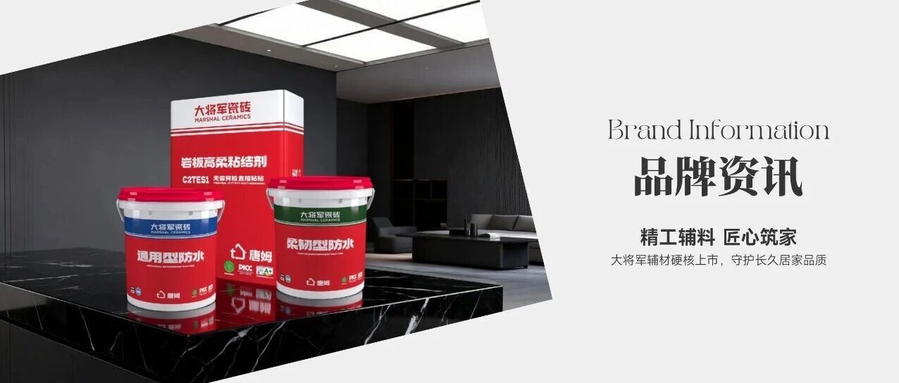 下一篇:精工辅料 匠心筑家 | 大将军瓷砖辅材硬核上市,守护长久居家品质